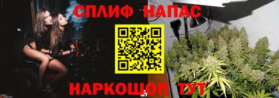 ПСИЛОЦИБИНОВЫЕ ГРИБЫ Краснодар