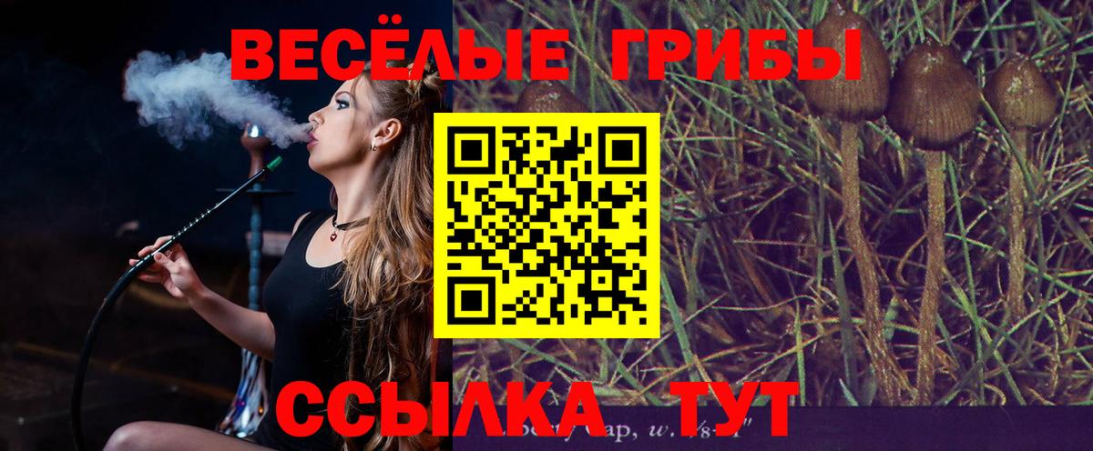 Краснокаменск  Галлюциногенные грибы MAGIC MUSHROOMS  Вход с VPN 