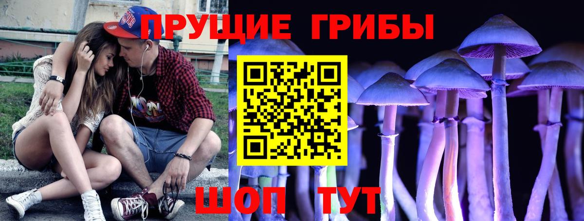 Галлюциногенные грибы прущие грибы Краснокаменск